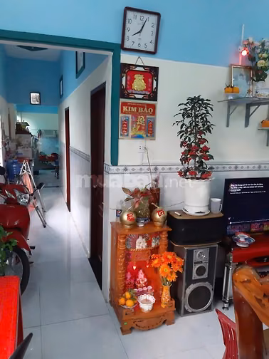 Nhà vườn Thị trấn Củ Chi Đường Phạn Thị Hối 7x45 tổng 395m2 SHR 1 tỷ 4