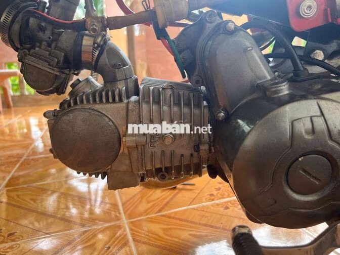 Yamaha Si50 Đỏ Việt Nam
