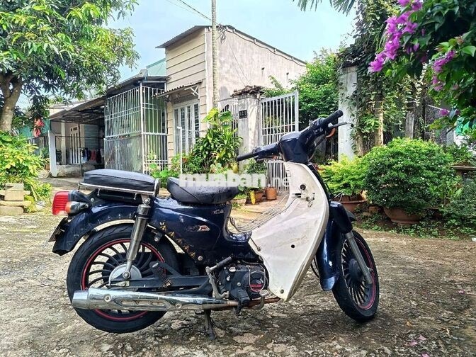 Honda Cub 50cc Xanh Trắng