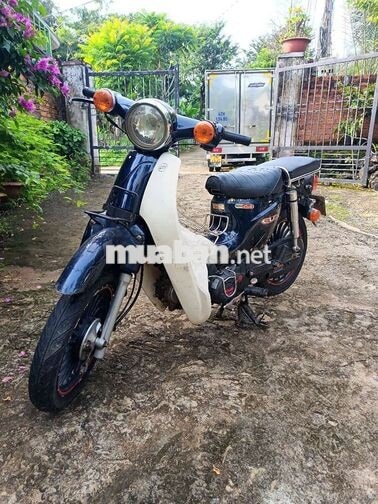 Honda Cub 50cc Xanh Trắng