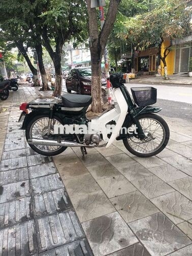 Honda Cub 70cc Xanh trắng