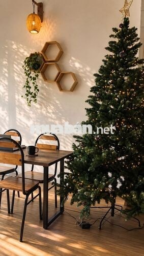 Sang nhanh Study Cafe - mb 6tr