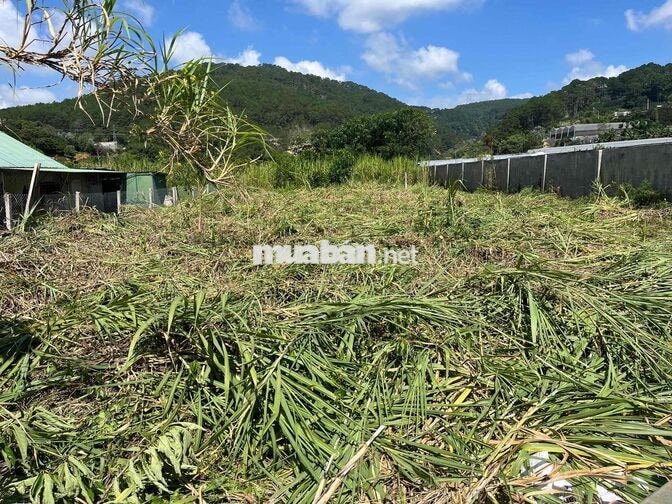 Bán 500m đất nông nghiệp tại Sở Lăng, phường 10 - Đà Lạt