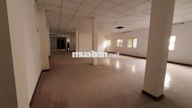 CHO THUÊ MẶT BẰNG KINH DOANH ĐƯỜNG LŨY BÁN BÍCH