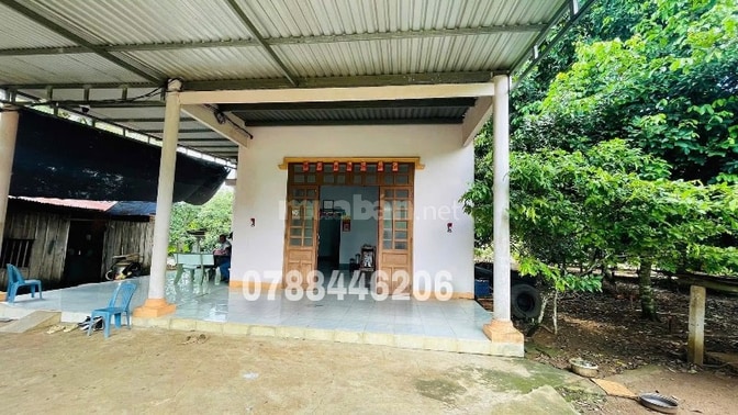 CHỦ NHÀ VỀ QUÊ ĐỂ LẠI CĂN NHÀ VƯỜN