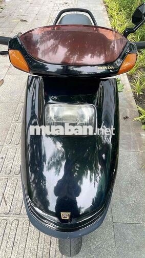 Honda Freeway Cổ màu Đen