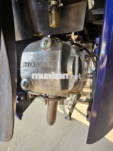 Honda Wave Alpha 110 2024 Xanh