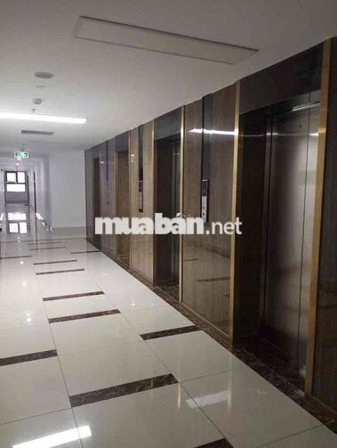 Cần Pass Gấp ở Phòng Trọ Chung cư Goldora Plaza- Gần ĐH Tôn Đức Thắng