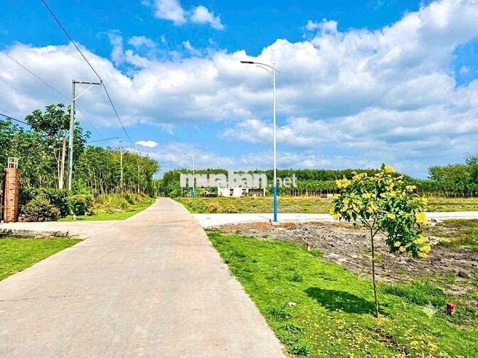 Chính chủ cần bán gấp lô đất thổ cư giá rẻ