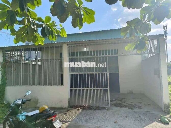 Cho thuê kho xưởng Vườn Lài An Phú đông quận 12