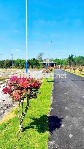 Chính chủ cần bán gấp lô đất thổ cư giá rẻ