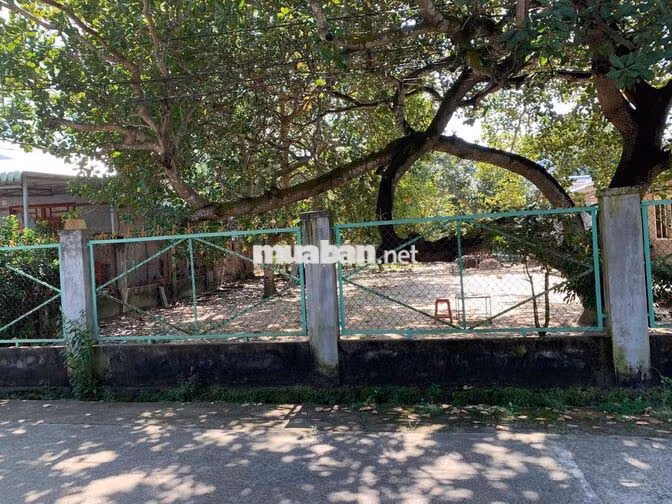 Bán đất view dự án núi Chứa Chan đang xây dựng
