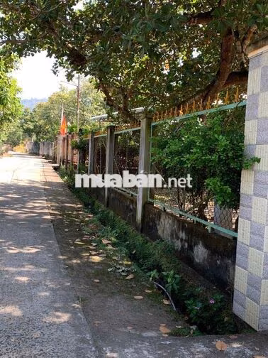 Bán đất view dự án núi Chứa Chan đang xây dựng