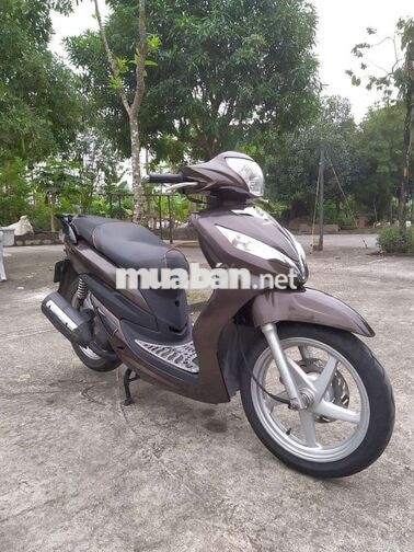 Honda Shark 125 Nâu Hà Nội