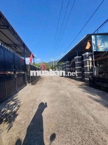 Bán đất view dự án núi Chứa Chan đang xây dựng