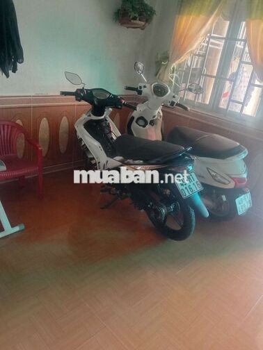 Yamaha Exciter Trắng đen 49-X1 016.16