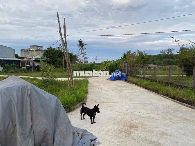 🌻GIÁ RẺ LÔ ĐẤT Ở THĂNG BÌNH ĐÀ NẴNG