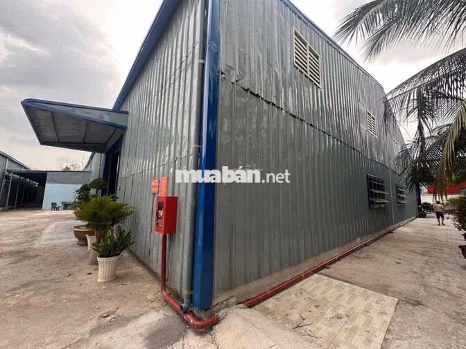🔴 CHO THUÊ KHO XƯỞNG PHƯỚC LÝ CẦN GIUỘC LONG AN HÌNH ẢNH THẬT GIÁ RẺ