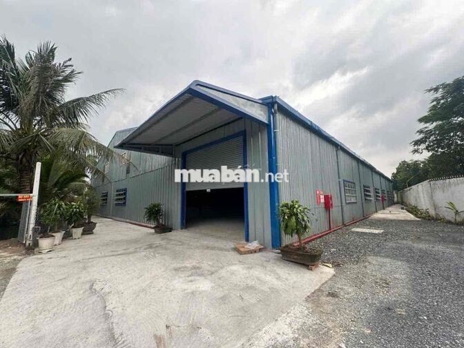 🔴 CHO THUÊ KHO XƯỞNG PHƯỚC LÝ CẦN GIUỘC LONG AN HÌNH ẢNH THẬT GIÁ RẺ