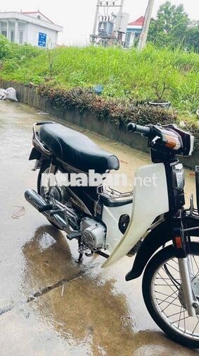 Honda Dream Trắng, Đỏ mận Xe số