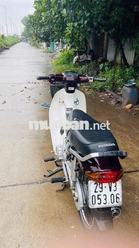 Honda Dream Trắng, Đỏ mận Xe số