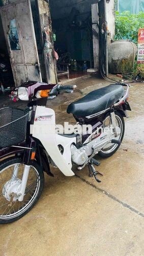 Honda Dream Trắng, Đỏ mận Xe số