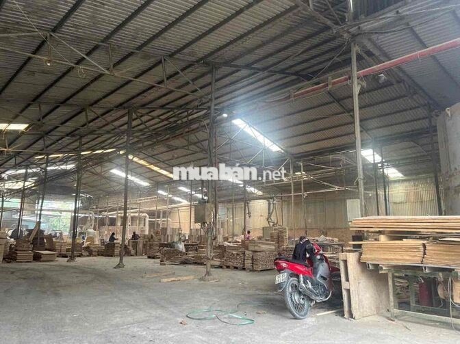 Bán xưởng 2000m2 tại Thiện Tân, chỉ 6 tỷ, có sẵn dòng thiền cho thuê