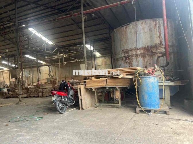 Bán xưởng 2000m2 tại Thiện Tân, chỉ 6 tỷ, có sẵn dòng thiền cho thuê