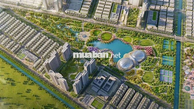​Diện tích đất: 50,00 m²
​Diện tích xây dựng: 166,70 m²
​