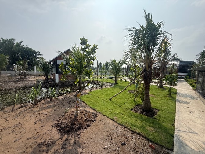 Chỉ 3 tỷ nhỉnh xíu sở hữu nhà cấp 4 sân vườn sẵn mô hình nghỉ dưỡng