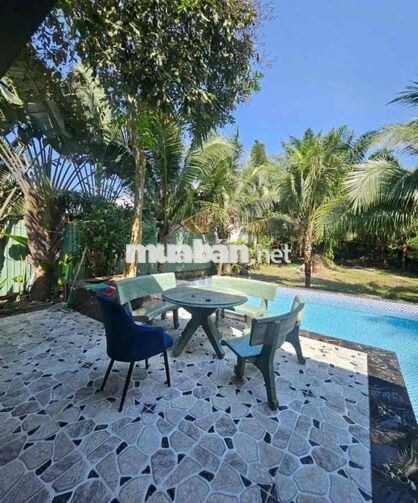 Biệt thự mini 850m2 đất tiện nghie dưỡng