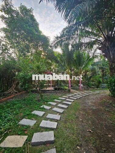 Biệt thự mini 850m2 đất tiện nghie dưỡng