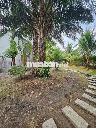 Biệt thự mini 850m2 đất tiện nghie dưỡng