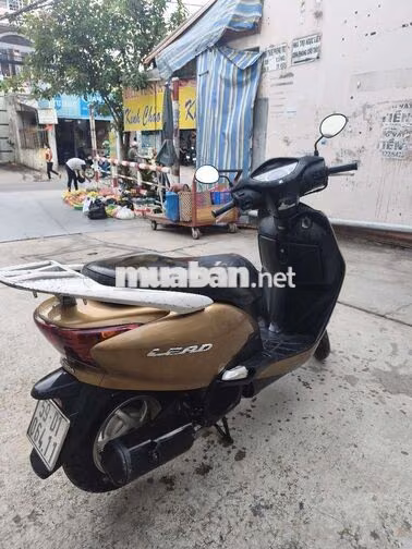 Honda Lead 2011 Vàng đồng