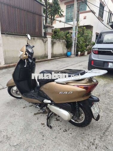 Honda Lead 2011 Vàng đồng