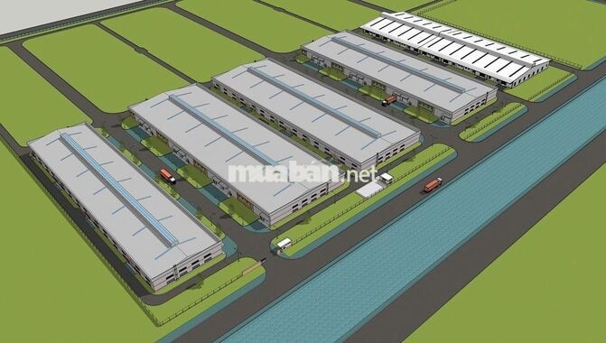 Cho Thuê Kho 1.900m² Tỉnh Lộ 10, Bình Tân – Khuôn Viên 5.000m²