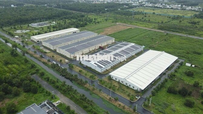 Cho Thuê Kho 1.900m² Tỉnh Lộ 10, Bình Tân – Khuôn Viên 5.000m²
