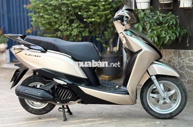 Honda Lead 2014 Vàng Cát