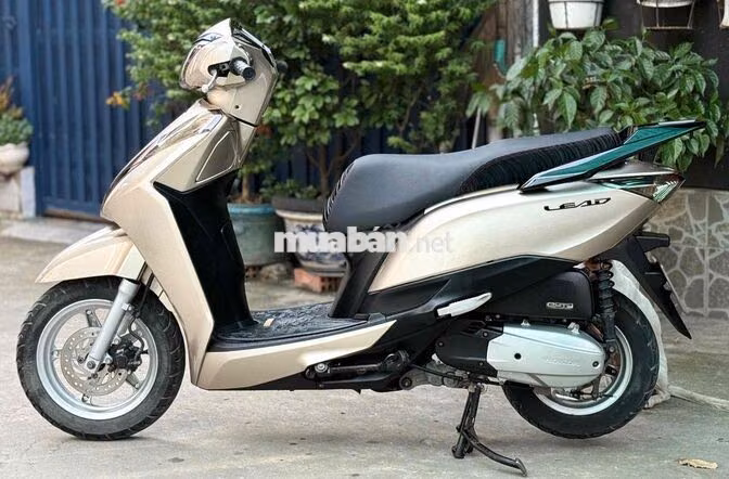 Honda Lead 2014 Vàng Cát