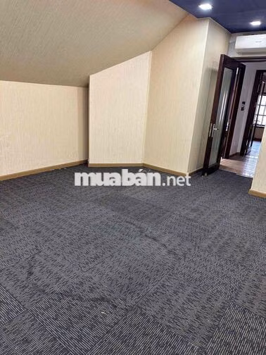 Biệt thự nguyên căn giá tốt ngang 12.5 mét có hầm thang máy