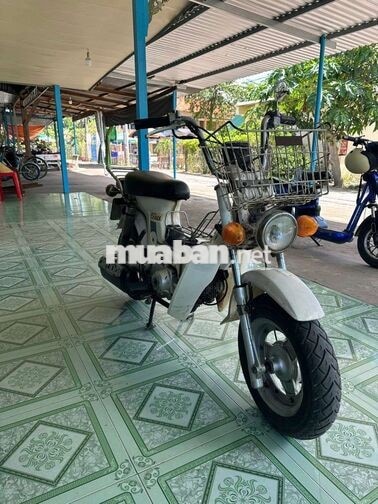 Honda Chaly Trắng Nhật Bản