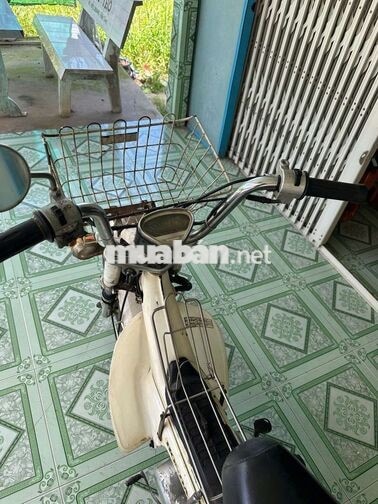 Honda Chaly Trắng Nhật Bản