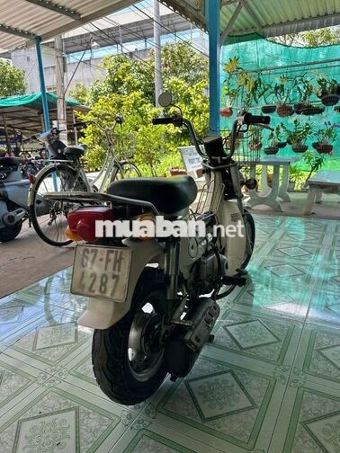 Honda Chaly Trắng Nhật Bản