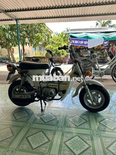 Honda Chaly Trắng Nhật Bản