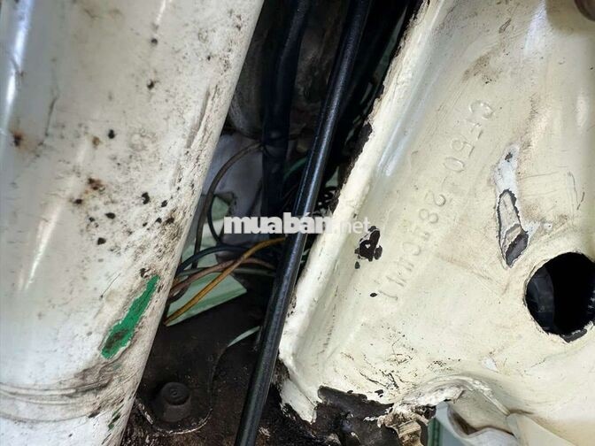 Honda Chaly Trắng Nhật Bản