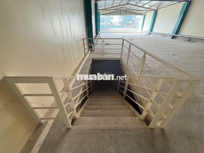 Cho thuê mặt bằng 300m² khuôn viên 500m² An Phú
