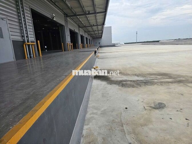 Cho Thuê Kho 5.000m² – 10.000m² KCN Thuận Đạo, Bến Lức – PCCC Tự Động