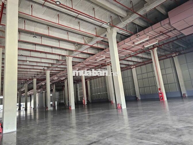 Cho Thuê Kho 5.000m² – 10.000m² KCN Thuận Đạo, Bến Lức – PCCC Tự Động