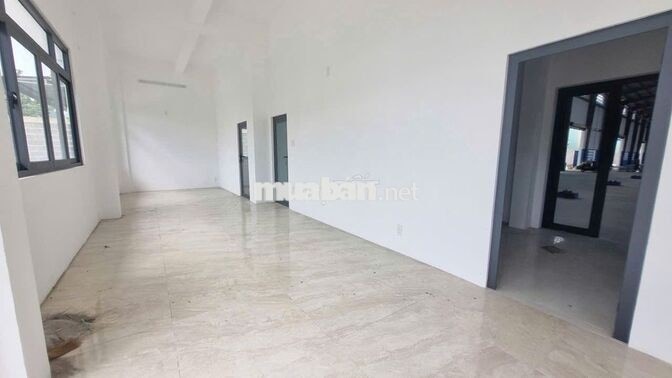 Kho 1.600m² Mặt Tiền Quốc Lộ 1A, Thủ Thừa, Tây Ninh – PCCC  Giá 63K/m²