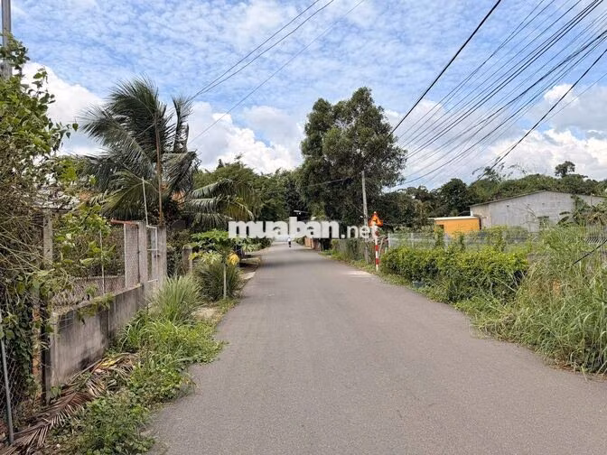 Bán Đất 21x40 có sẵn 100 m2 thổ giá 8.4 tỷ Xã Bưng Riềng